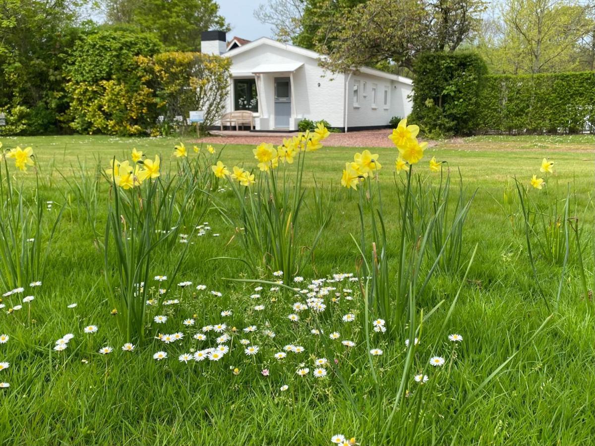 Holiday Park Dennenbos Oostkapelle Ngoại thất bức ảnh