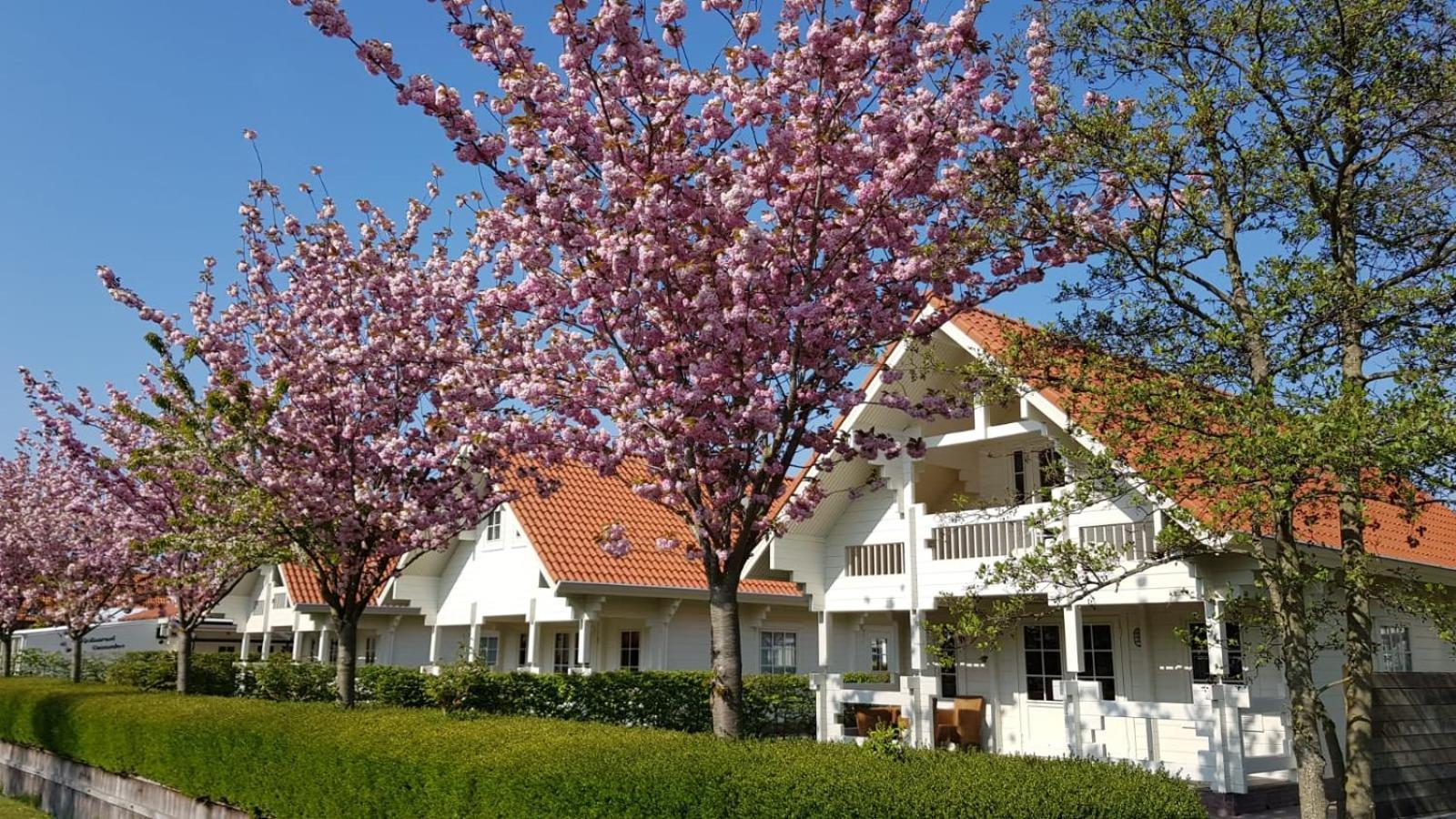 Holiday Park Dennenbos Oostkapelle Ngoại thất bức ảnh