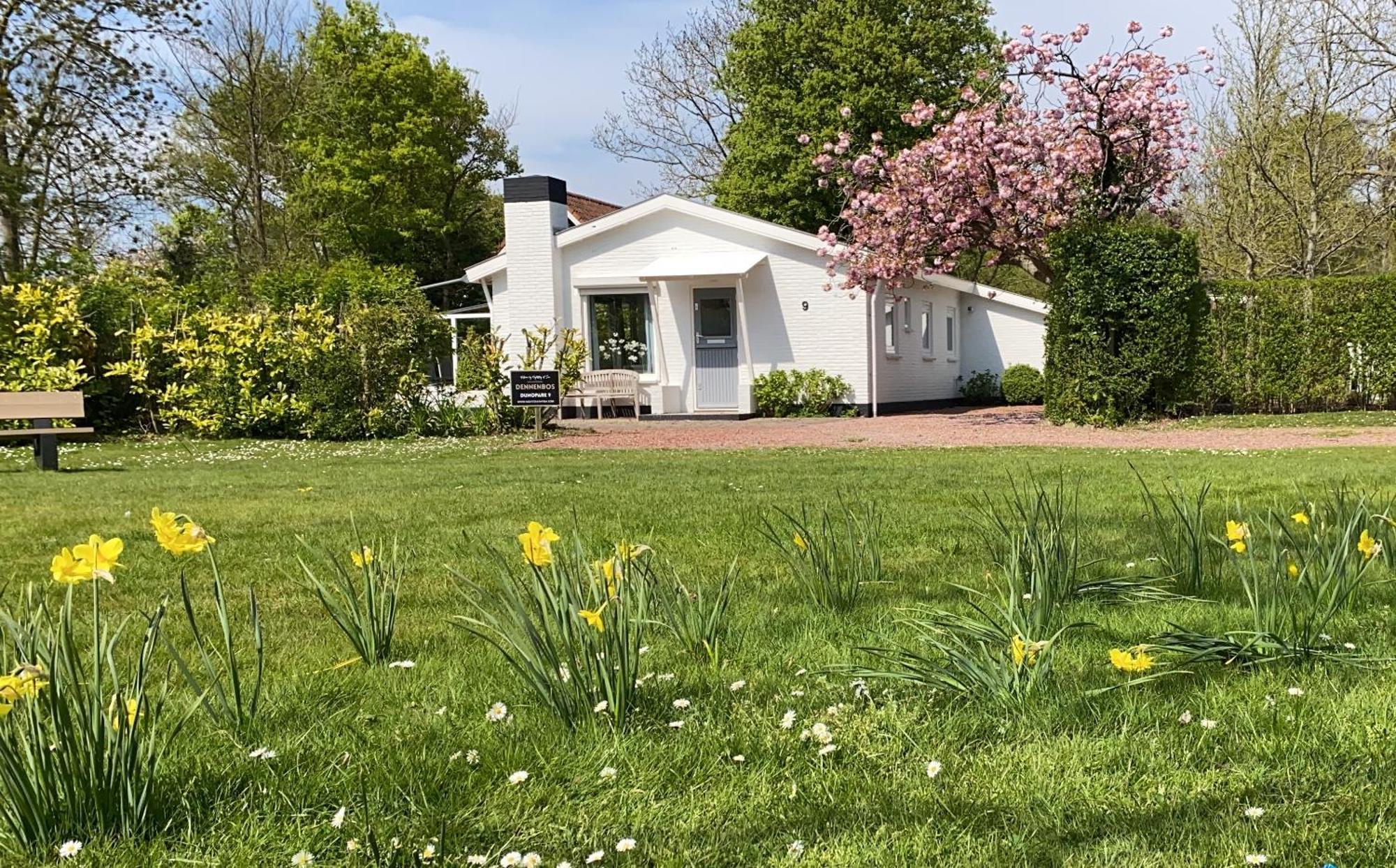 Holiday Park Dennenbos Oostkapelle Ngoại thất bức ảnh
